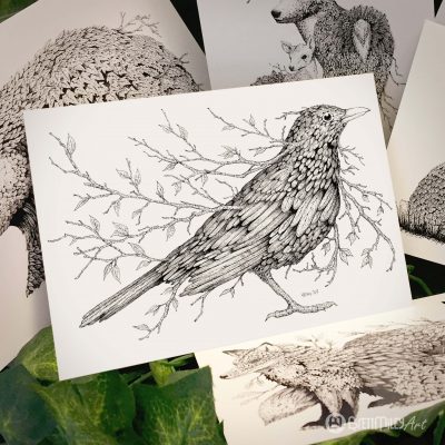 Leaf Blackbird Postcard - Brett Miley Art