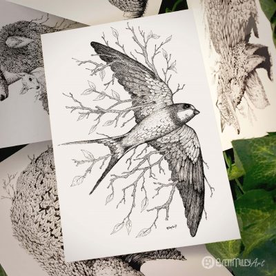 Leaf Swallow Postcard - Brett Miley Art