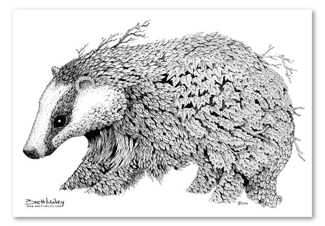 Leaf Badger Print - Brett Miley Art
