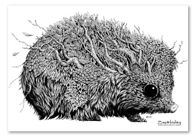 Leaf Hedgehog Print - Brett Miley Art