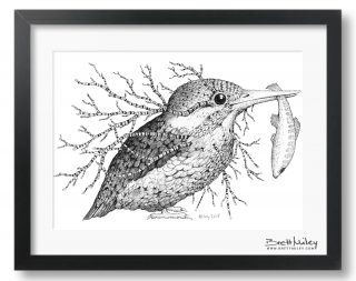 Leaf Kingfisher Framed Original - By Brett Miley Art