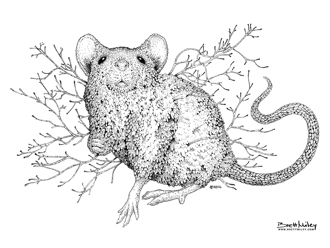 Leaf Mouse Print - Brett Miley Art
