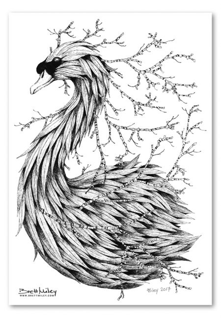 Leaf Mute Swan Print - Brett Miley Art