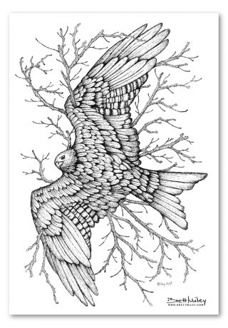 Leaf Red kite Print - Brett Miley Art