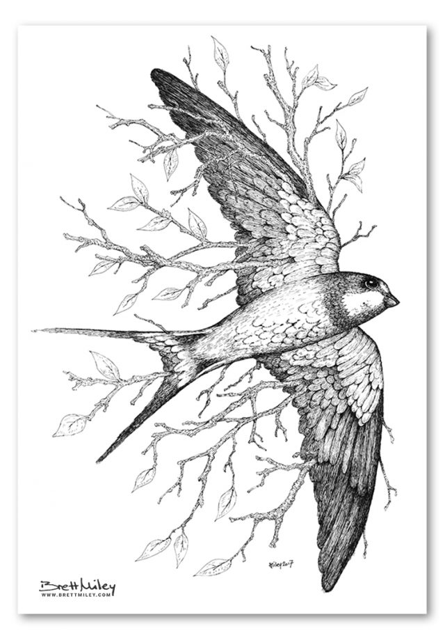 Leaf Swallow Print - Brett Miley Art
