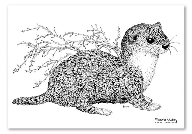 Leaf Weasel Print - Brett Miley Art