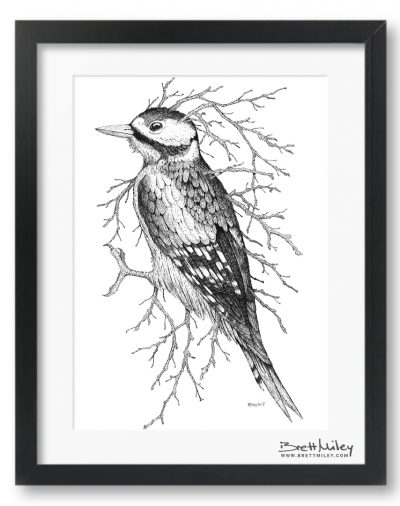 Leaf Woodpecker Framed Original - By Brett Miley