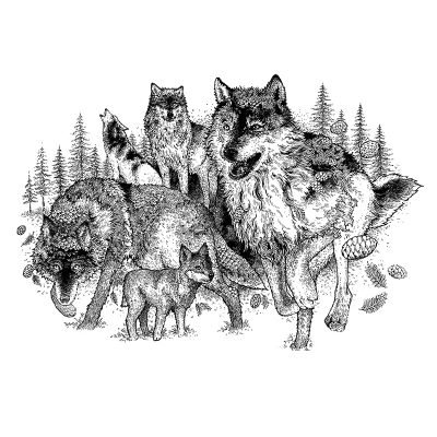 Forest Wolves Art Ink A4 by Brett Miley Art