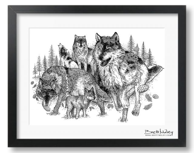Forest Wolves Art Ink A4 by Brett Miley Art