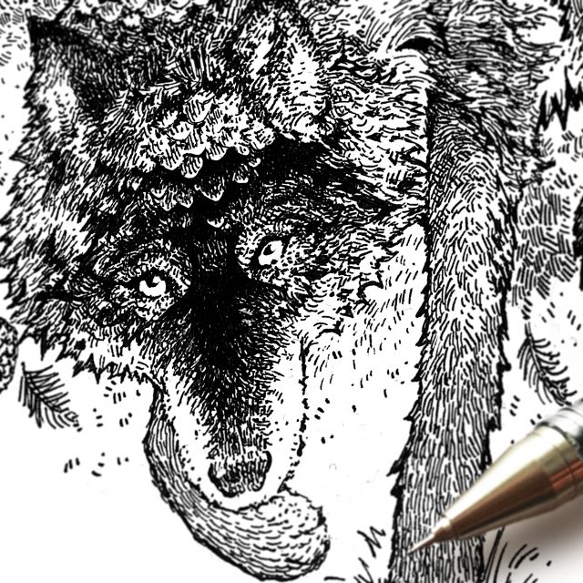 Forest Wolves Art By Brett Miley