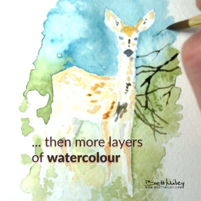 Deer Watercolour Art by Brett Miley