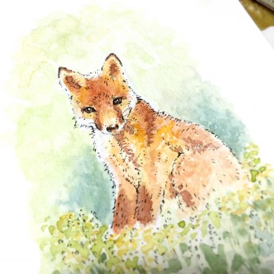 Fox Cub Watercolour Art by Brett Miley