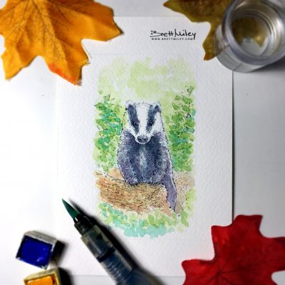 Badger Watercolour Art by Brett Miley