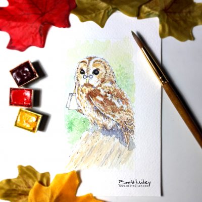 Tawny Owl Watercolour Art by Brett Miley