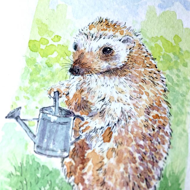 Hedgehog Daily Watercolour Art by Brett Miley