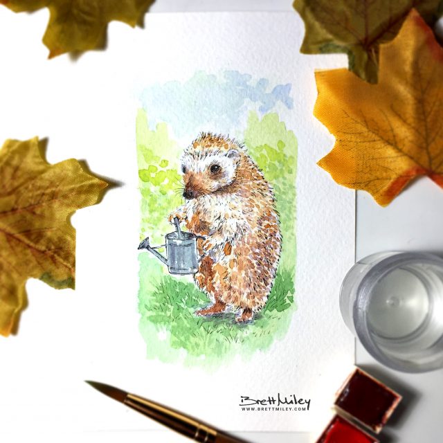 Hedgehog Daily Watercolour Art by Brett Miley