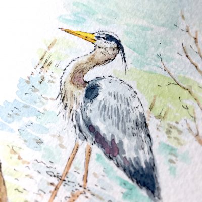 Heron Watercolour Art by Brett Miley