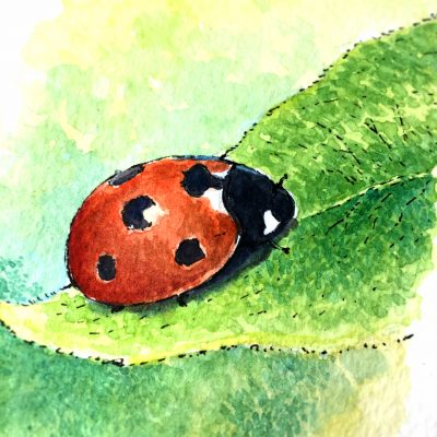Ladybird Watercolour Art by Brett Miley