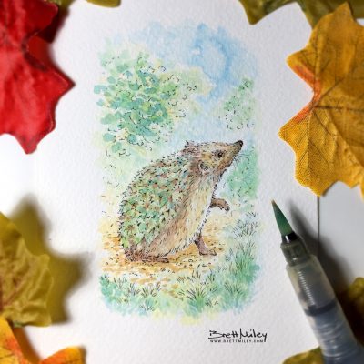 Hedgehog Watercolour Art by Brett Miley