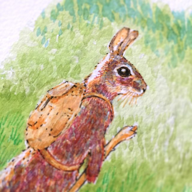 Rabbit Watercolour Art by Brett Miley