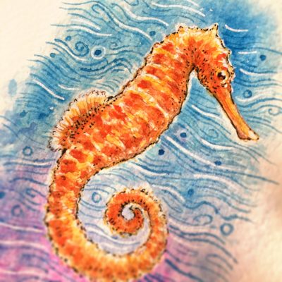 Seahorse Watercolour Art by Brett Miley