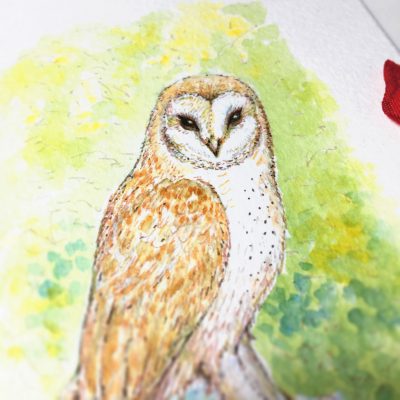 Barn Owl Watercolour Art by Brett Miley