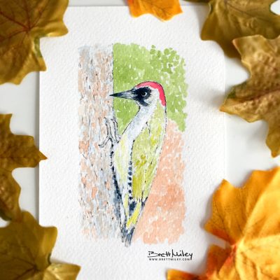 Green Woodpecker Watercolour Art by Brett Miley