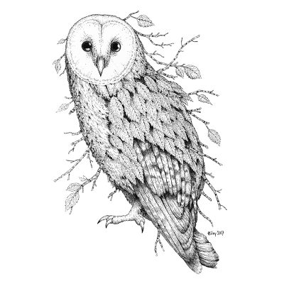 Leaf Barn Owl Print - Brett Miley Art