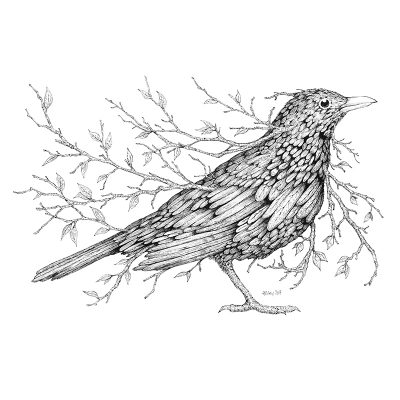 Leaf Blackbird Print - Brett Miley Art