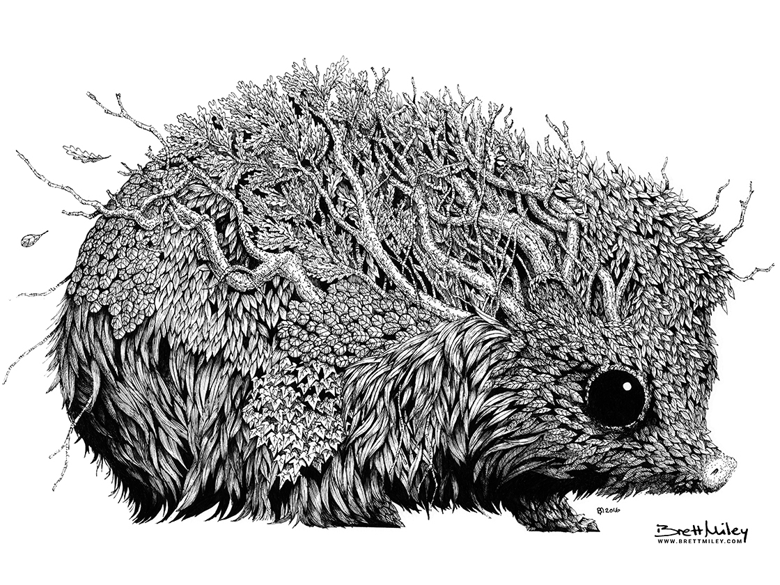 Leaf Hedgehog 2016 Art by Brett Miley
