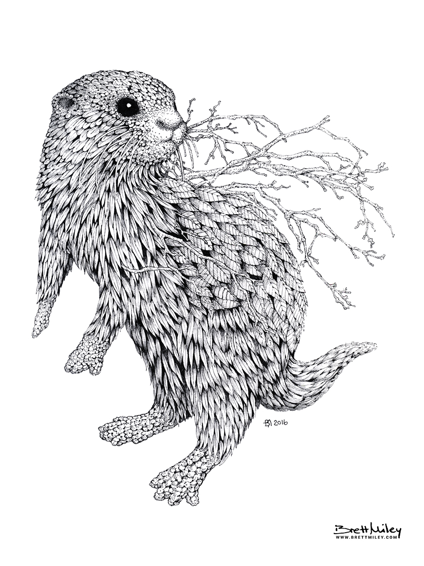 Leaf Otter Print - Brett Miley Art