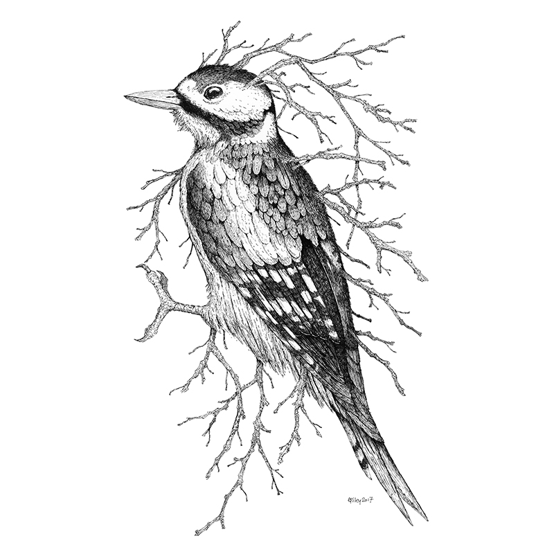 Leaf Woodpecker Print - Brett Miley Art
