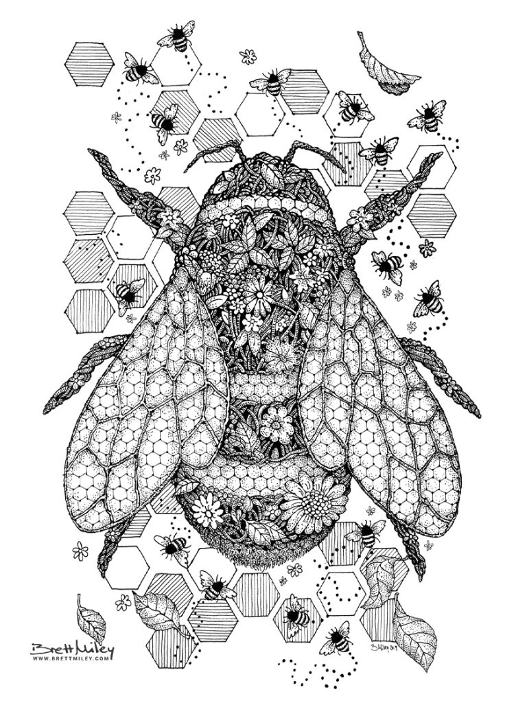 Meadow Bumblebee Print - Brett Miley Art