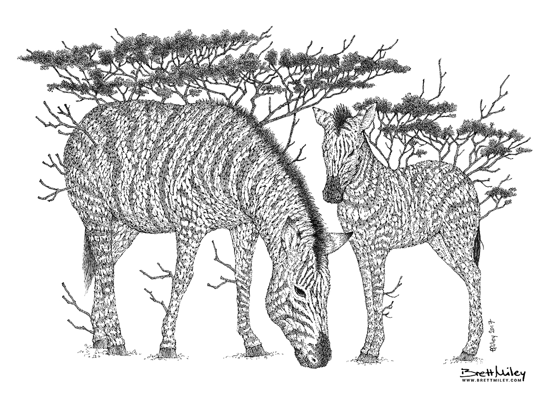 Tree Zebras Print - Brett Miley Art