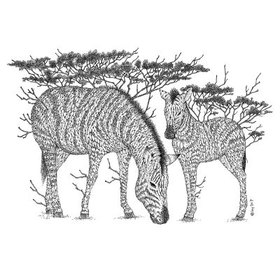 Tree Zebras Print - Brett Miley Art