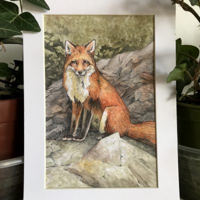 Fox Next to Rocks Framed Watercolour Original Art by Brett Miley