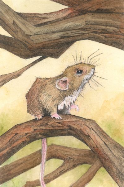 Scruffy Mouse Watercolour Original Art by Brett Miley