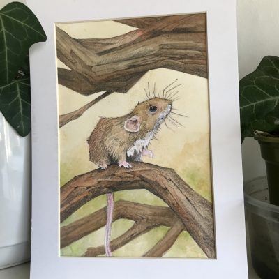 Scruffy Mouse Framed Watercolour Original Art by Brett Miley