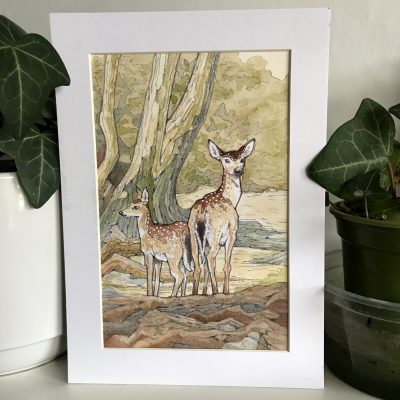 Fallow Deer Watercolour Framed Original Art by Brett Miley