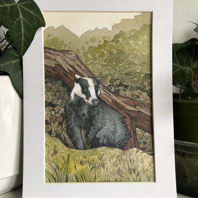 Badger