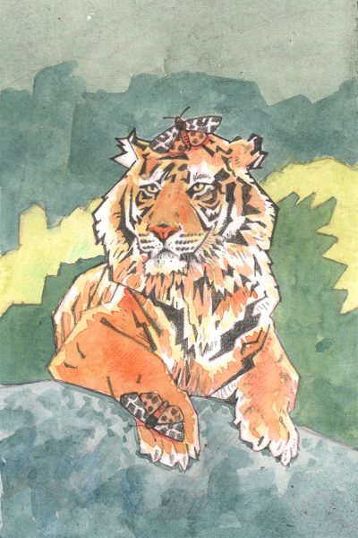 Tiger Moths - Image 2