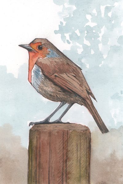 Robin - Image 2